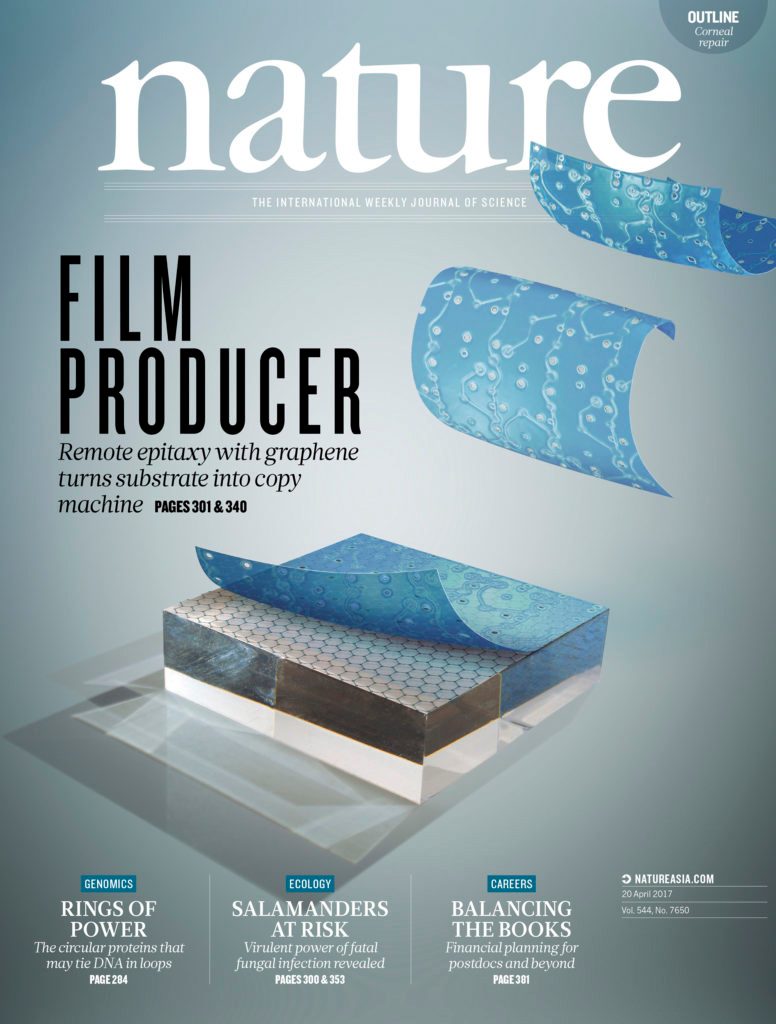 Felice Frankel Cover shots
