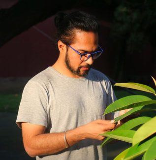harpeet sareen plant