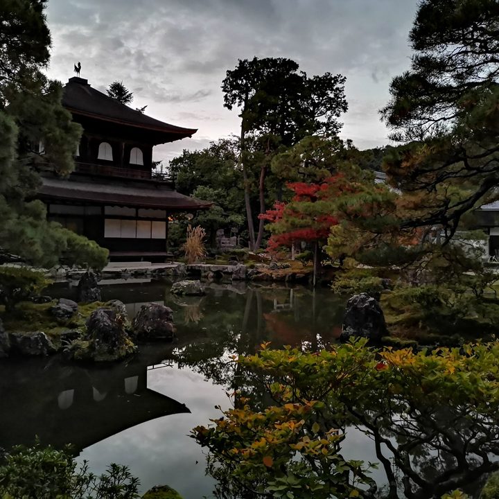 google pixel 3 night sight vs huawei mate 20 pro mode camera shootout bsh