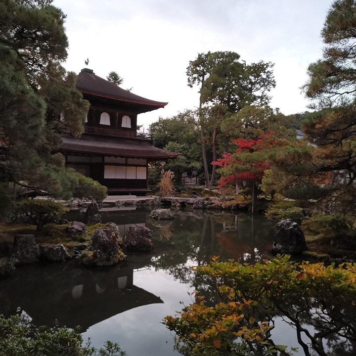 google pixel 3 night sight vs huawei mate 20 pro mode camera shootout hdrpl