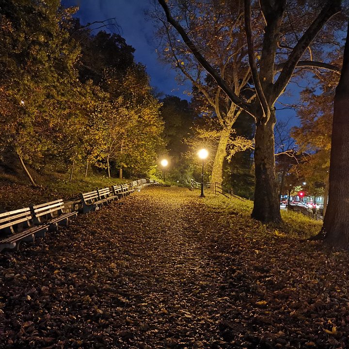 google pixel 3 night sight vs huawei mate 20 pro mode camera shootout park