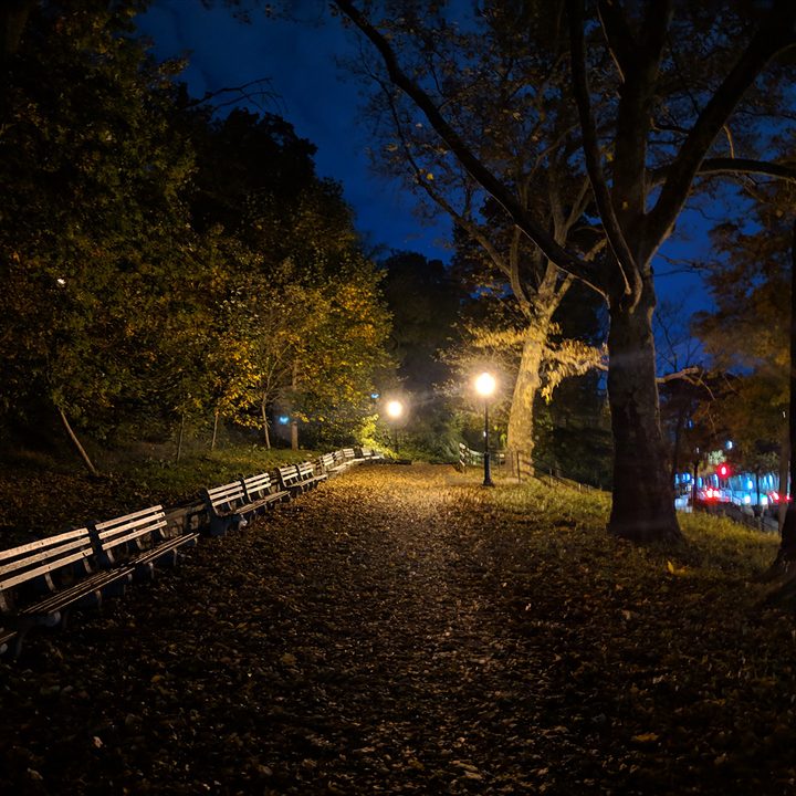 google pixel 3 night sight vs huawei mate 20 pro mode camera shootout park