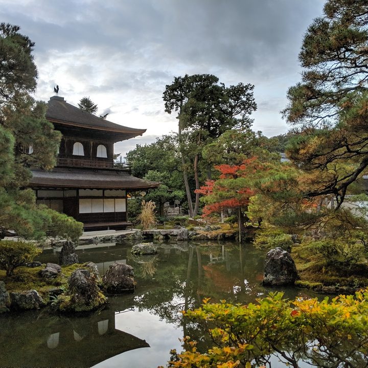 google pixel 3 night sight vs huawei mate 20 pro mode camera shootout