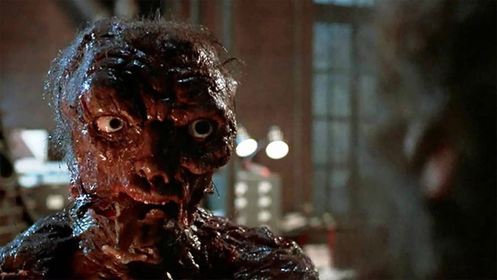 The Fly II