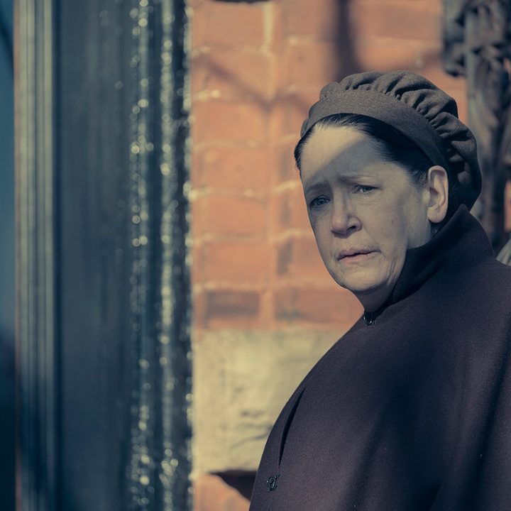 ann down aunt lydia