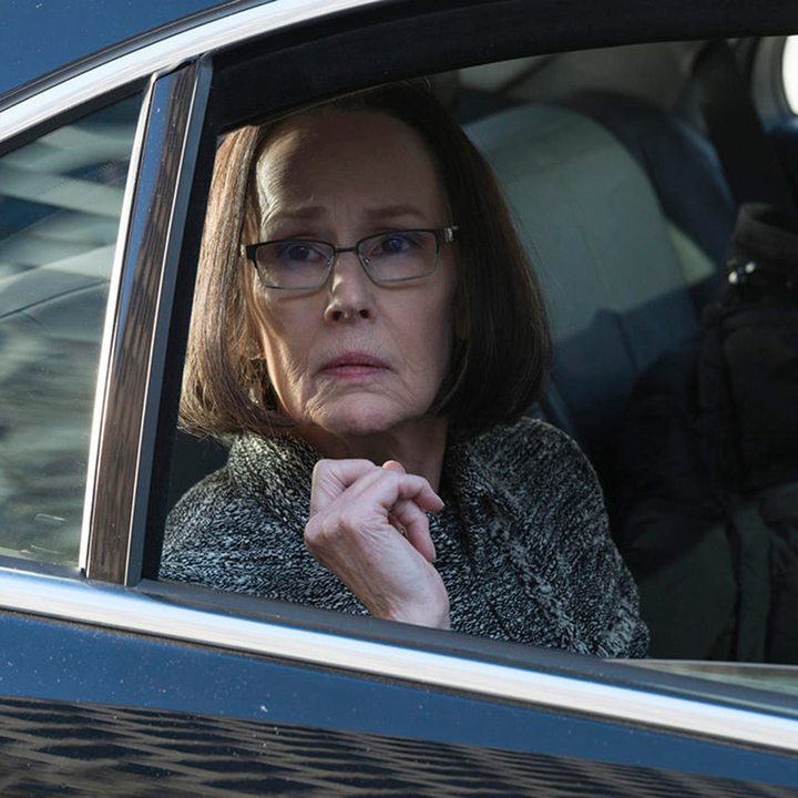 susan blommaert mr kaplan