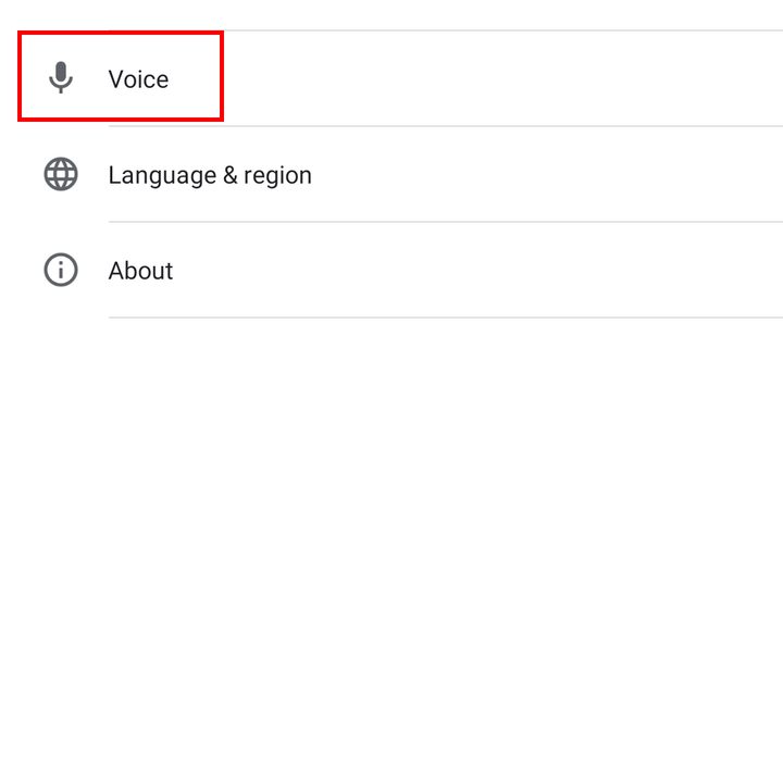 Setting up Ok Google