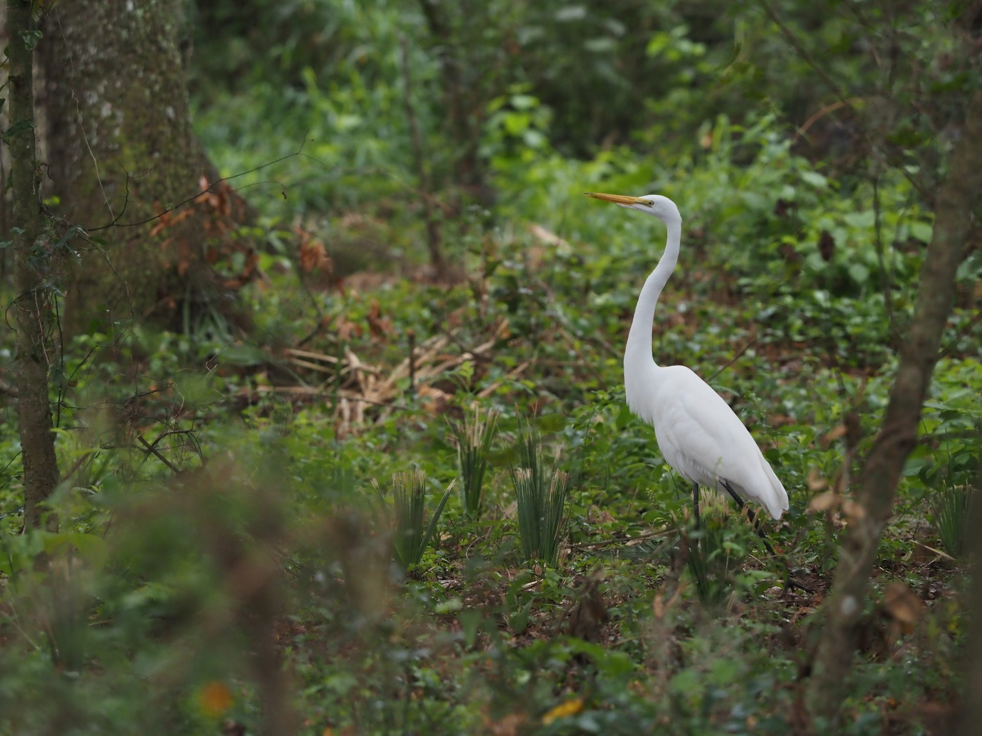 Olympus OM-D E-M1X review Camera Sample Photos