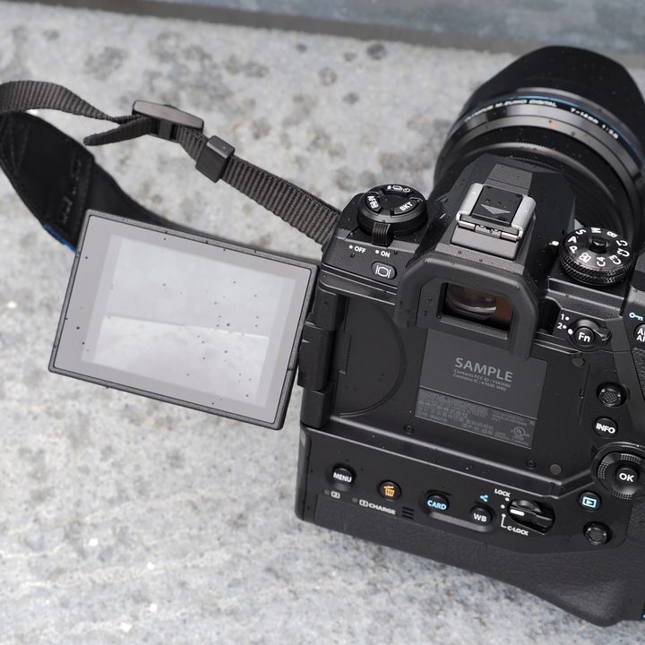 Olympus OM-D E-M1X reviewe-30218