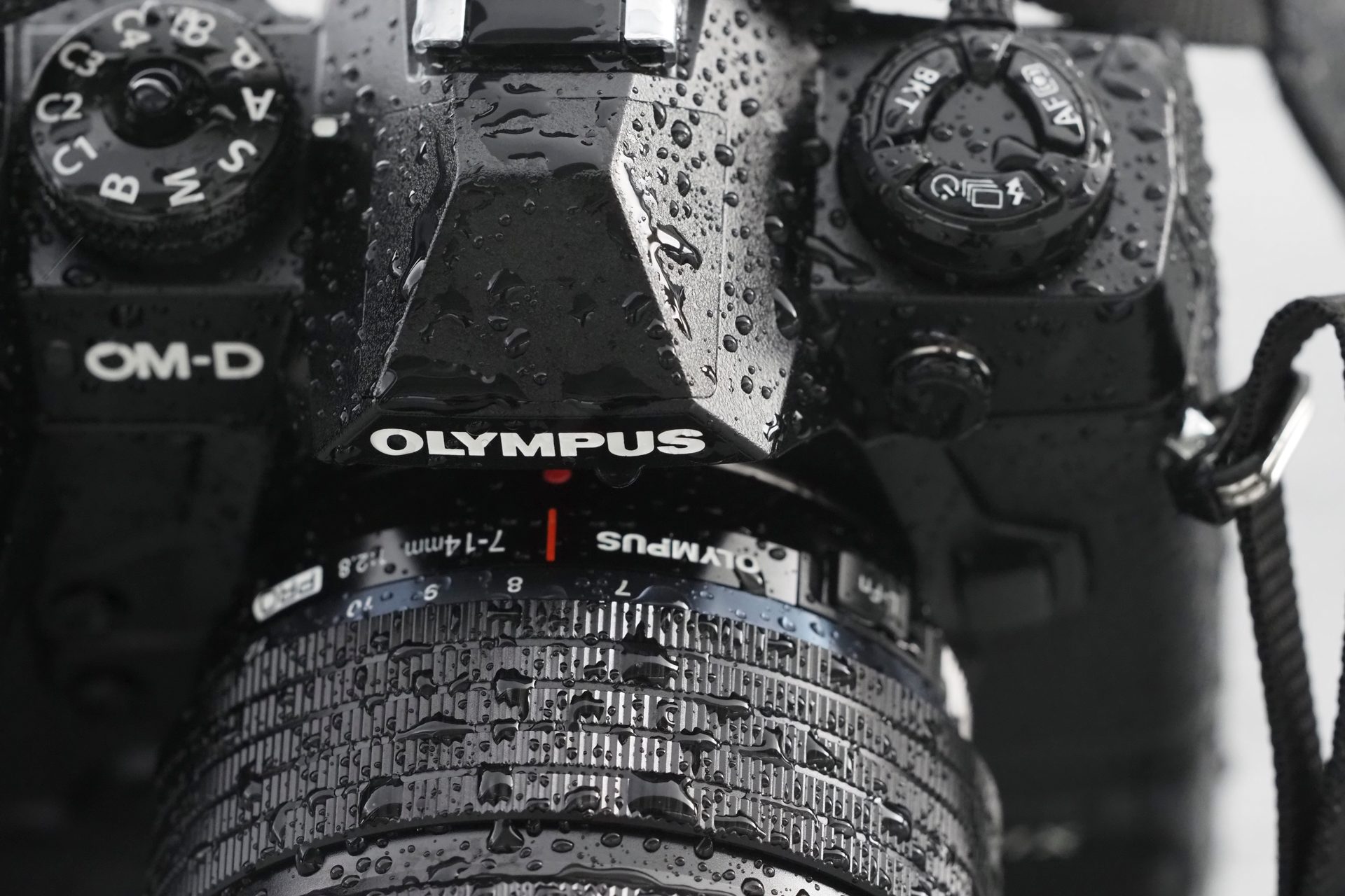 Olympus OM-D E-M1X reviewe-30218