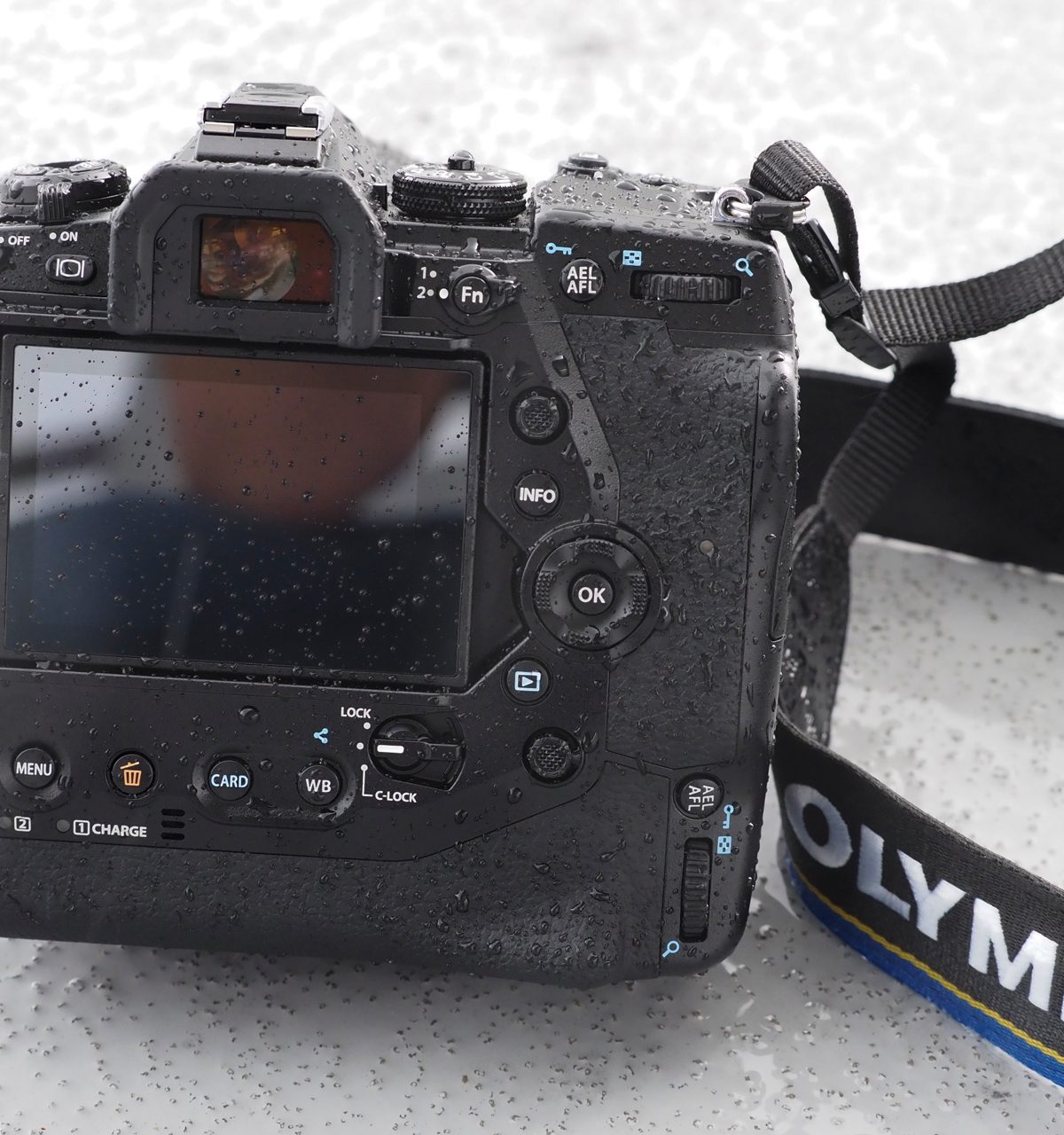 Olympus OM-D E-M1X reviewe-30218