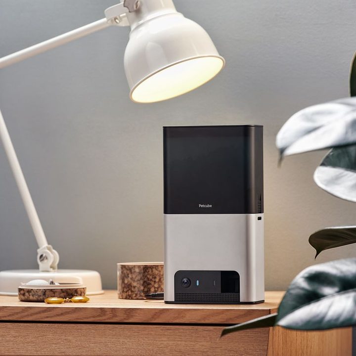 petcube shows off bites 2 play at ces 2019 header