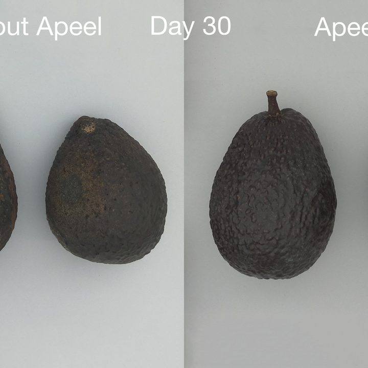 Apeel Avacados