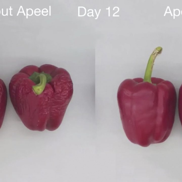 Apeel Bell Peppers