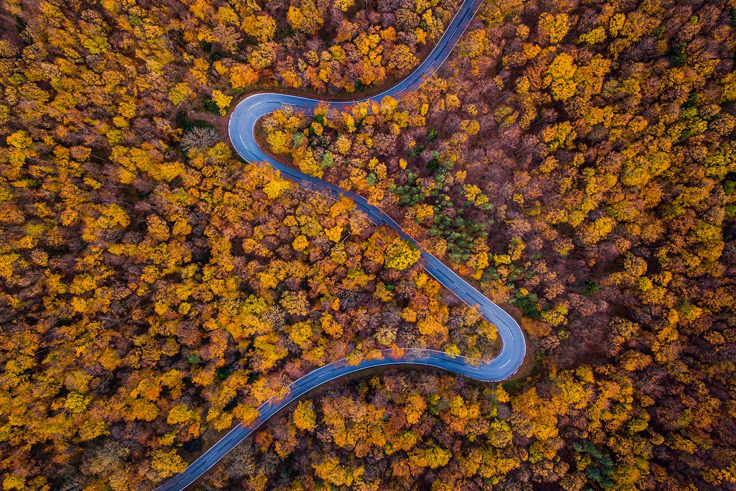 best drone photos fall