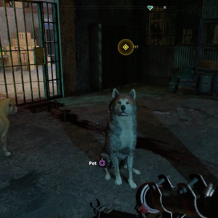 Far Cry New Dawn review