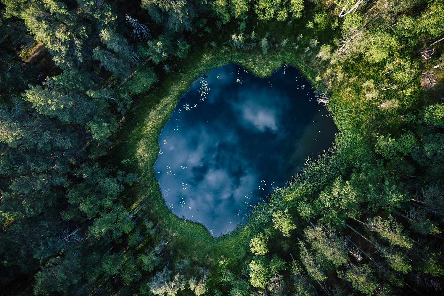 best drone photos pond