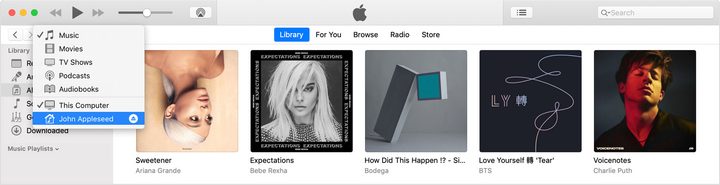 See iTunes Libraries