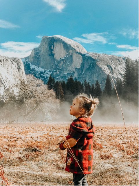 apple shot on iphone 2019 6