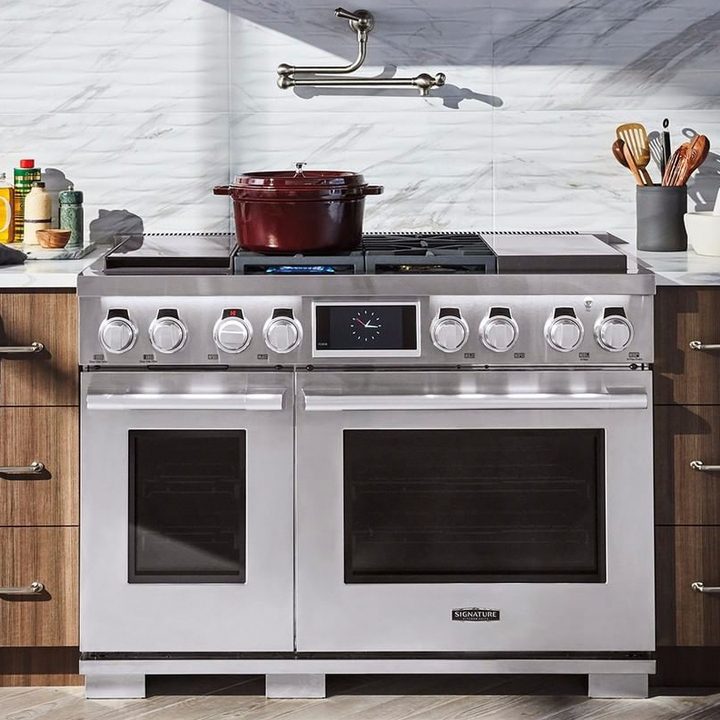 kbis 2019