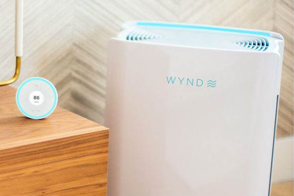 Wynd Halo and Home Purifier