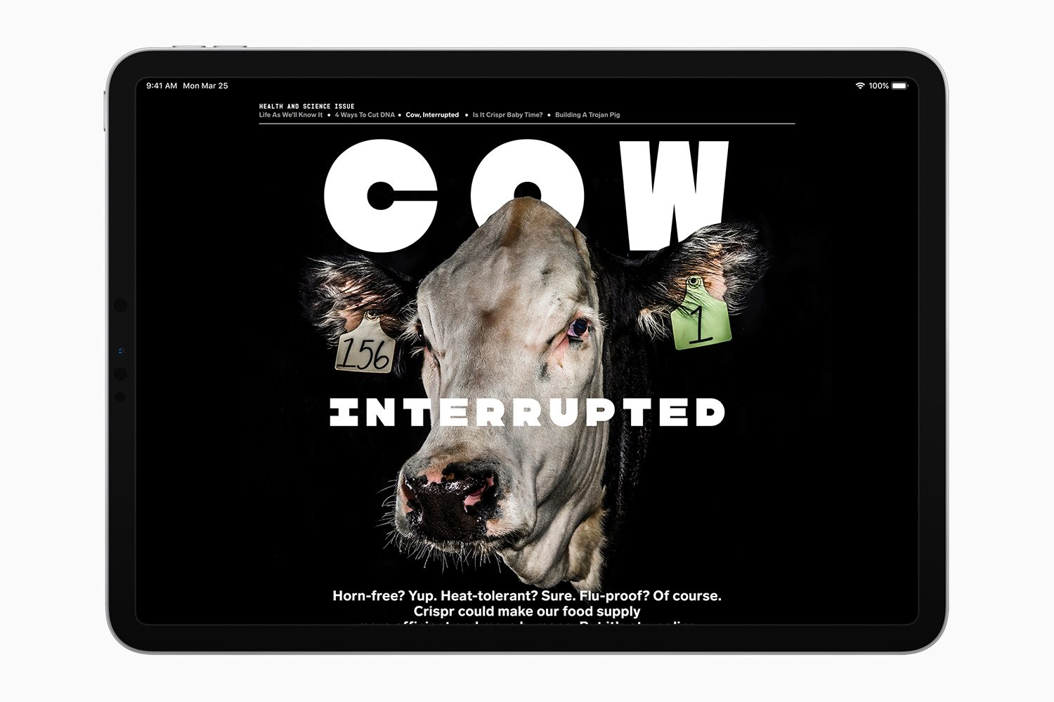 apple news plus wired ipad screen 03252019