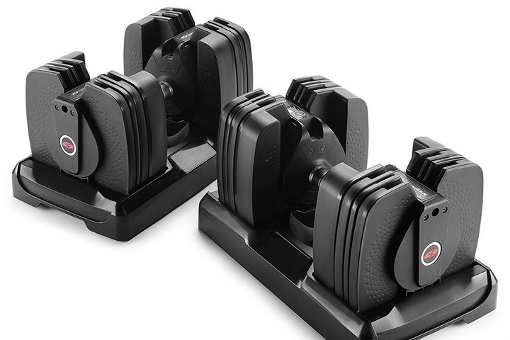 Bowflex SelectTech 560 Dumbbells