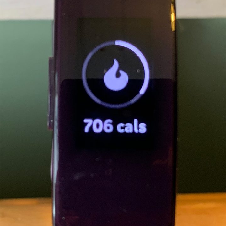 fitbit inspire hr review interface 5
