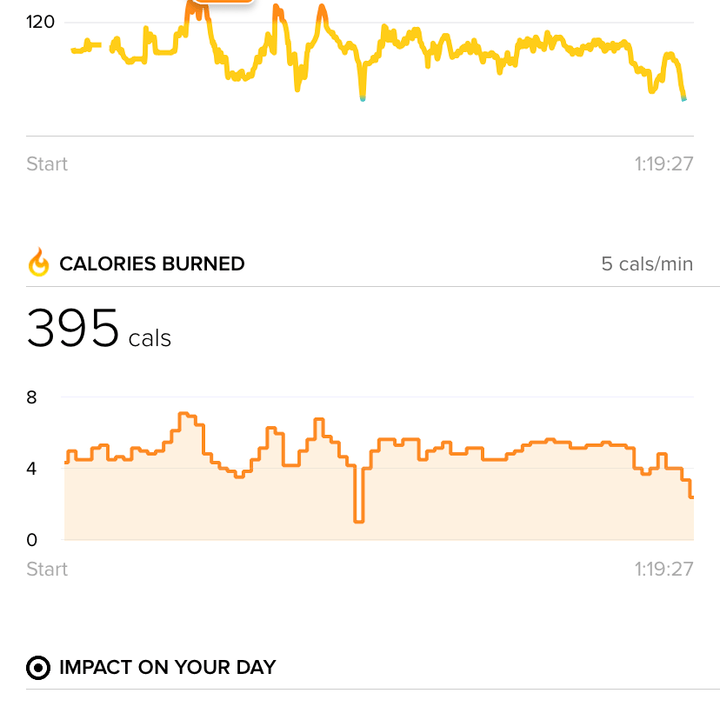 Fitbit Versa Lite Exercise App