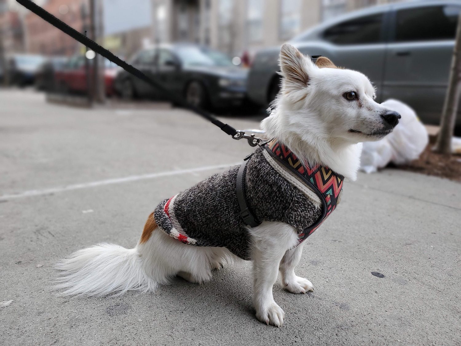 galaxy s10 plus review live photos 1