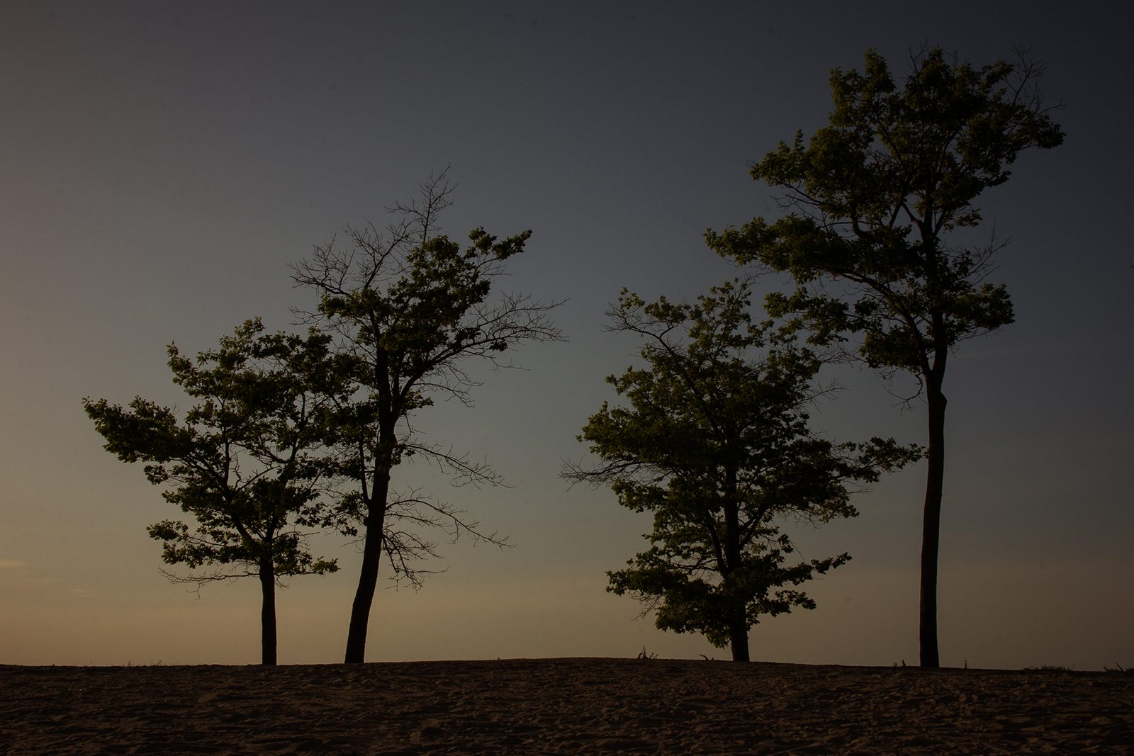 what is aperture landscapef20