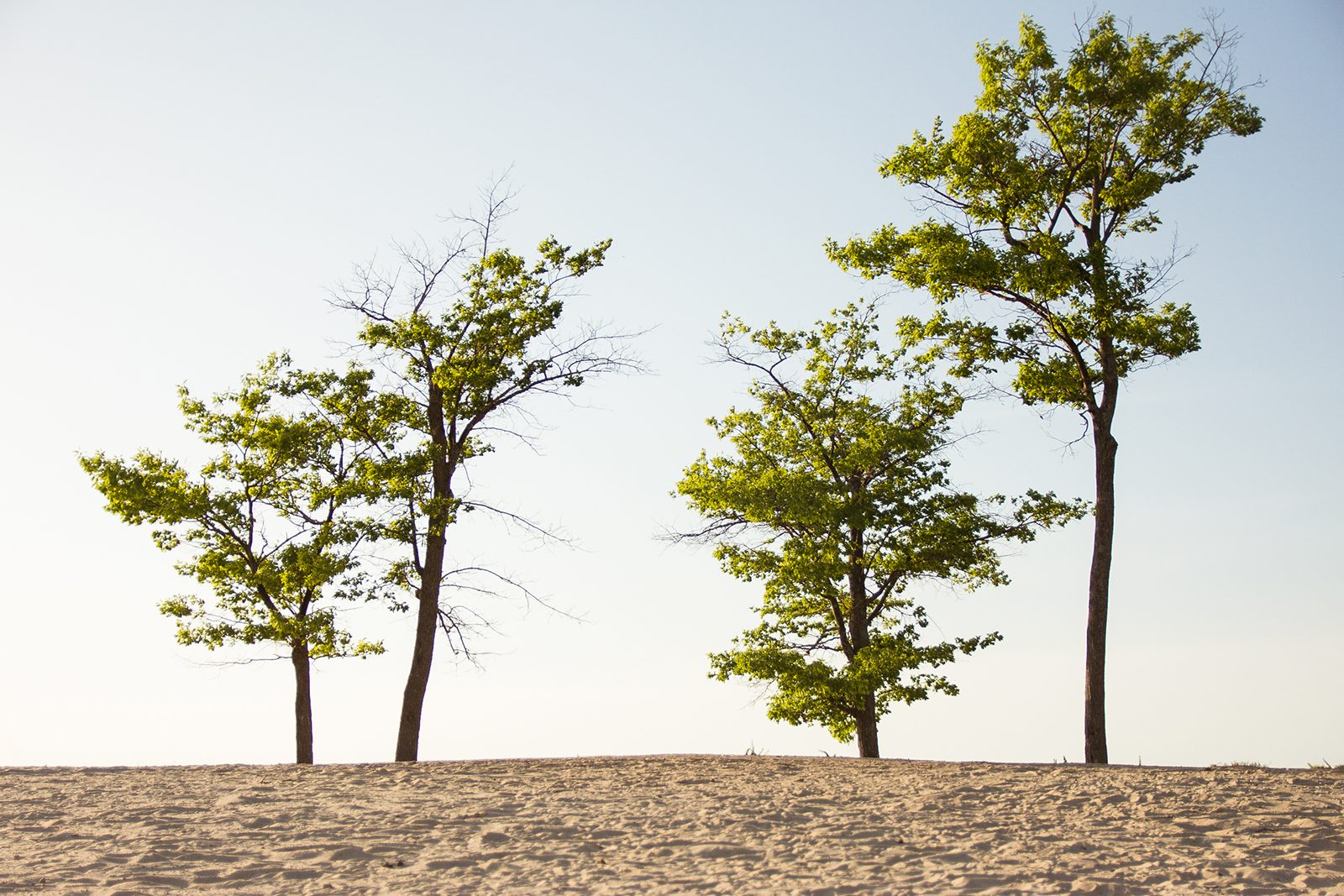 what is aperture landscapef2 8