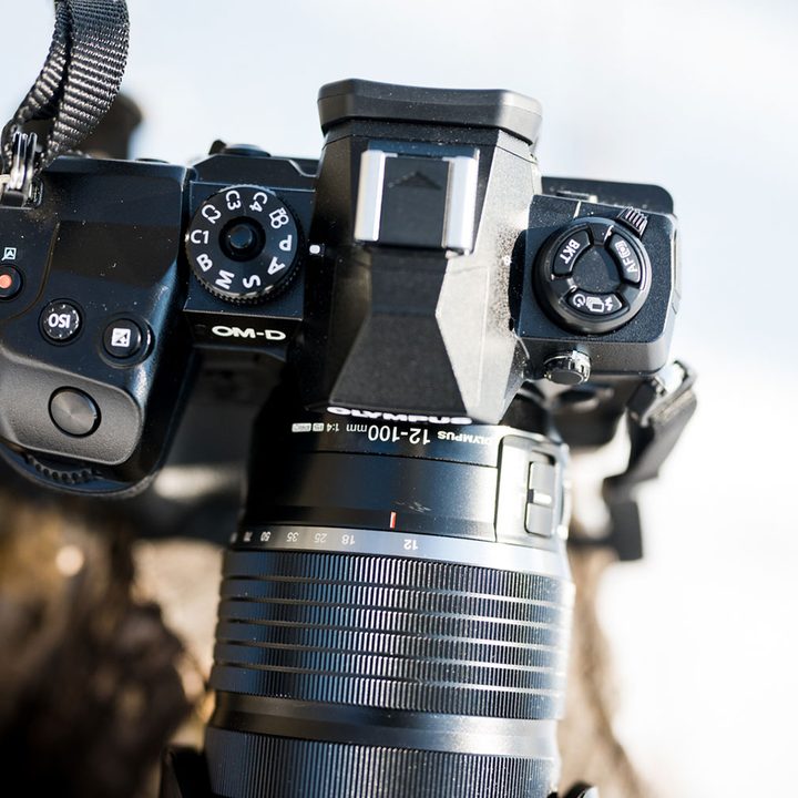 Olympus M.Zuiko 12-100mm f/4 Pro review