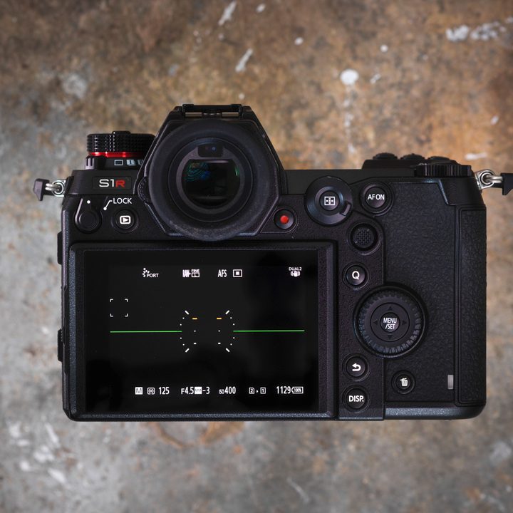 Panasonic Lumix S1R Review