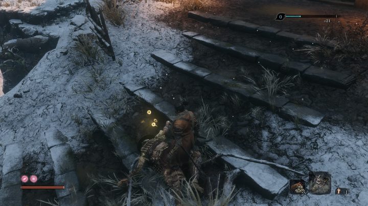 Sekiro: Shadows Die Twice Item Buying Guide