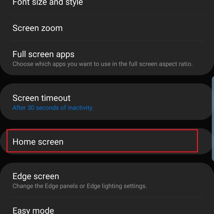 samsung galaxy s10 plus s10e settings display home screen