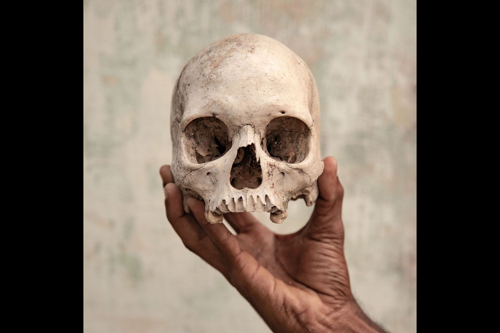 photography news april 20 2019 five degrees