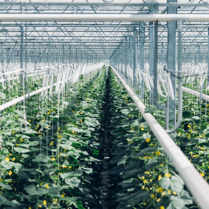 Climeworks CO2 Storage and Use Solutions | Troubleshooting Earth