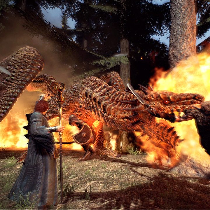 Dragon's Dogma