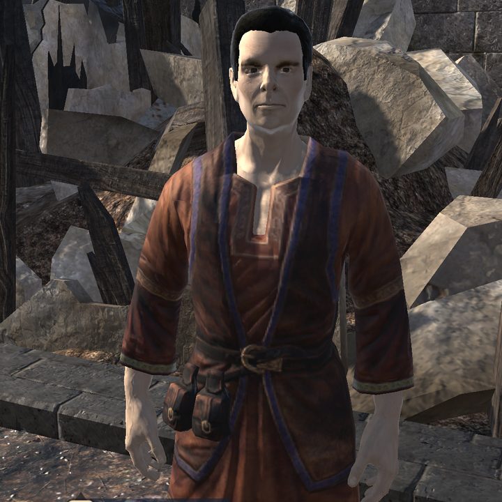 elder scrolls blades hands on review npc 3