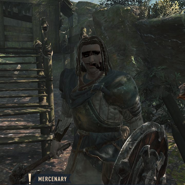 elder scrolls blades hands on review npc 4