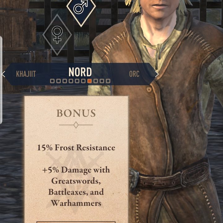 elder scrolls blades hands on review races 2