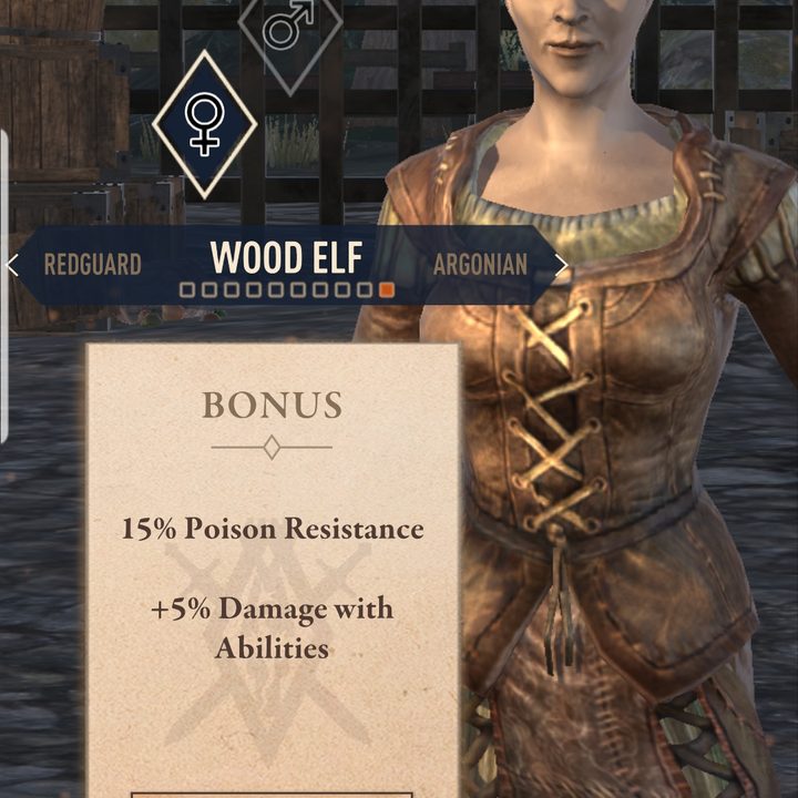 elder scrolls blades hands on review races 4