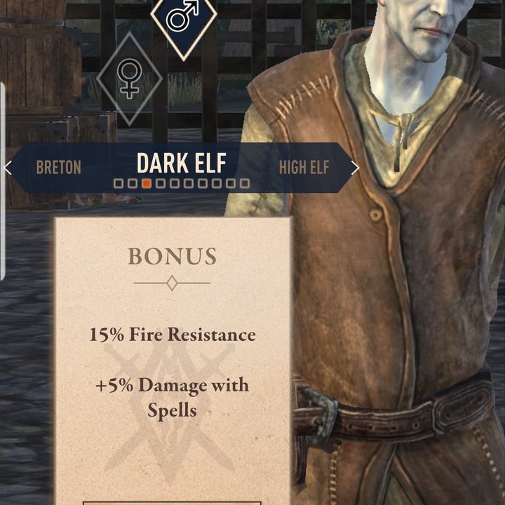 elder scrolls blades hands on review races 6