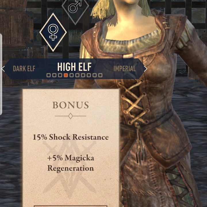 elder scrolls blades hands on review races 8