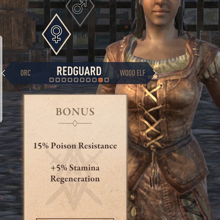 elder scrolls blades hands on review races 9
