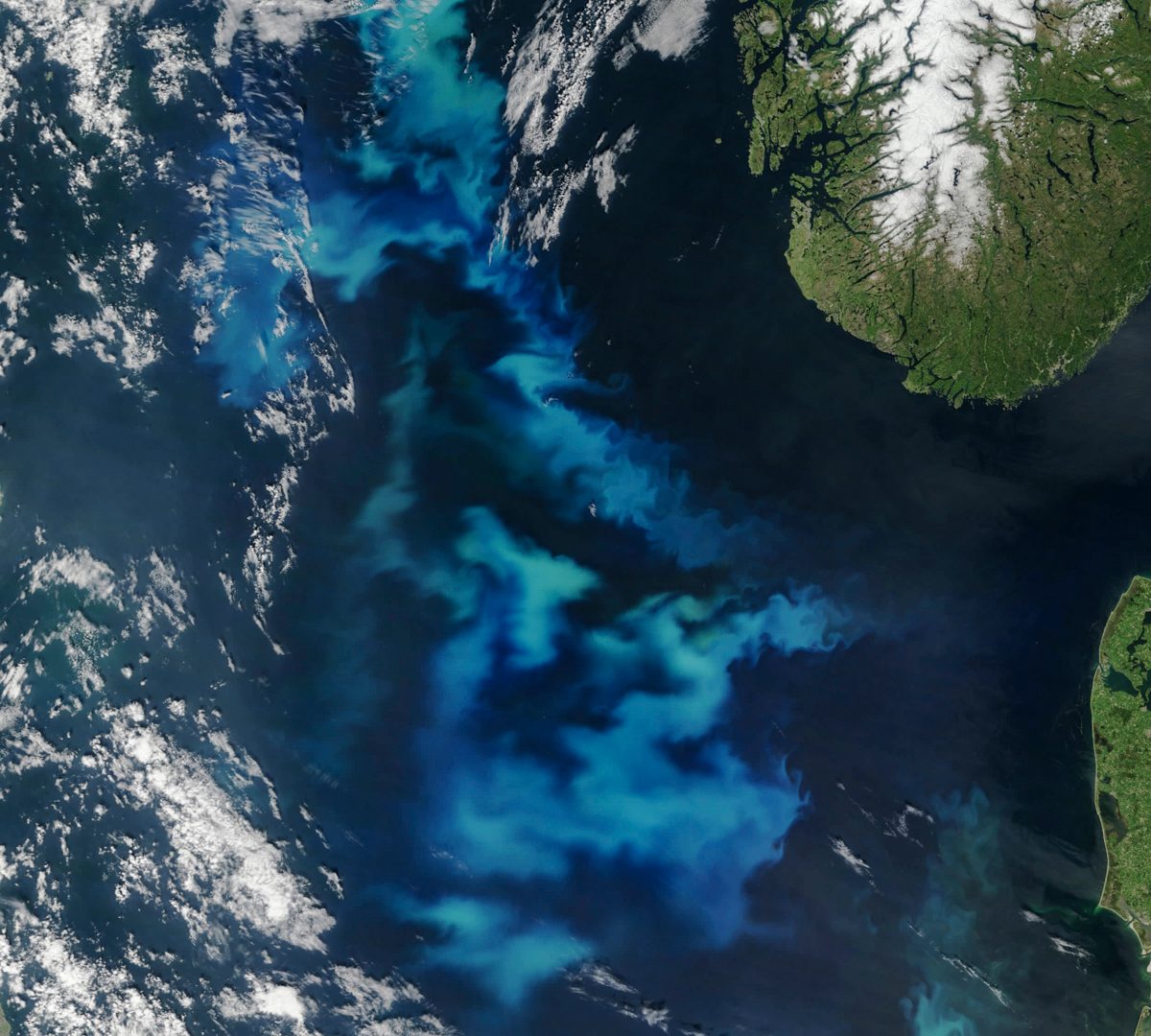 Algae bloom, Geoengineering using Ocean Fertilization
