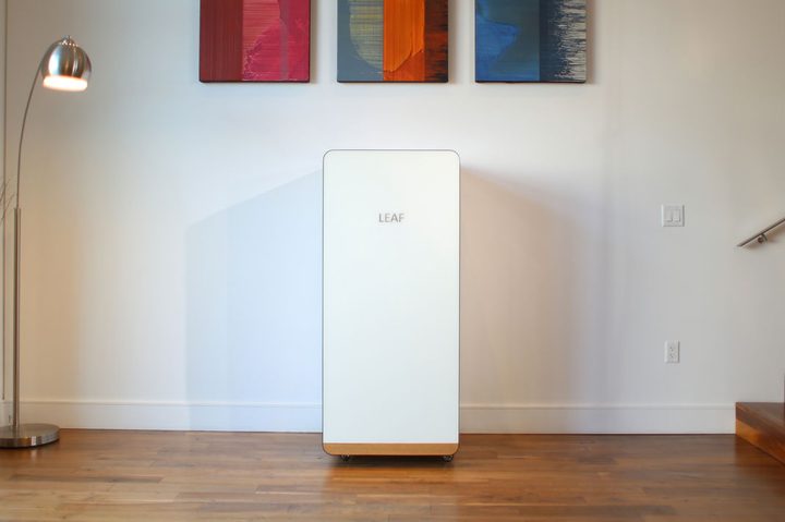 Leaf Grow Box