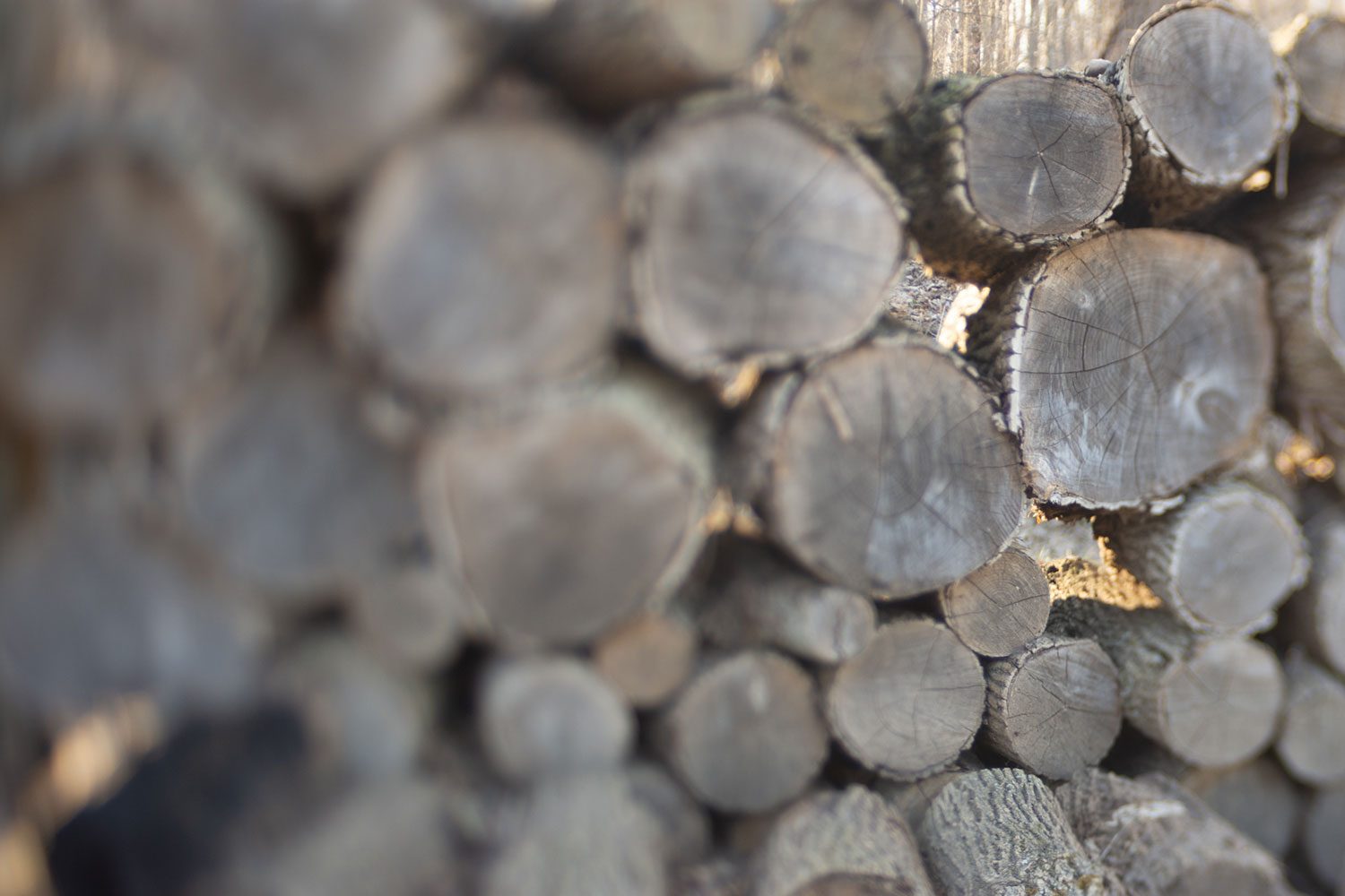 lensbaby composer pro ii with edge 35 optic review sample 11