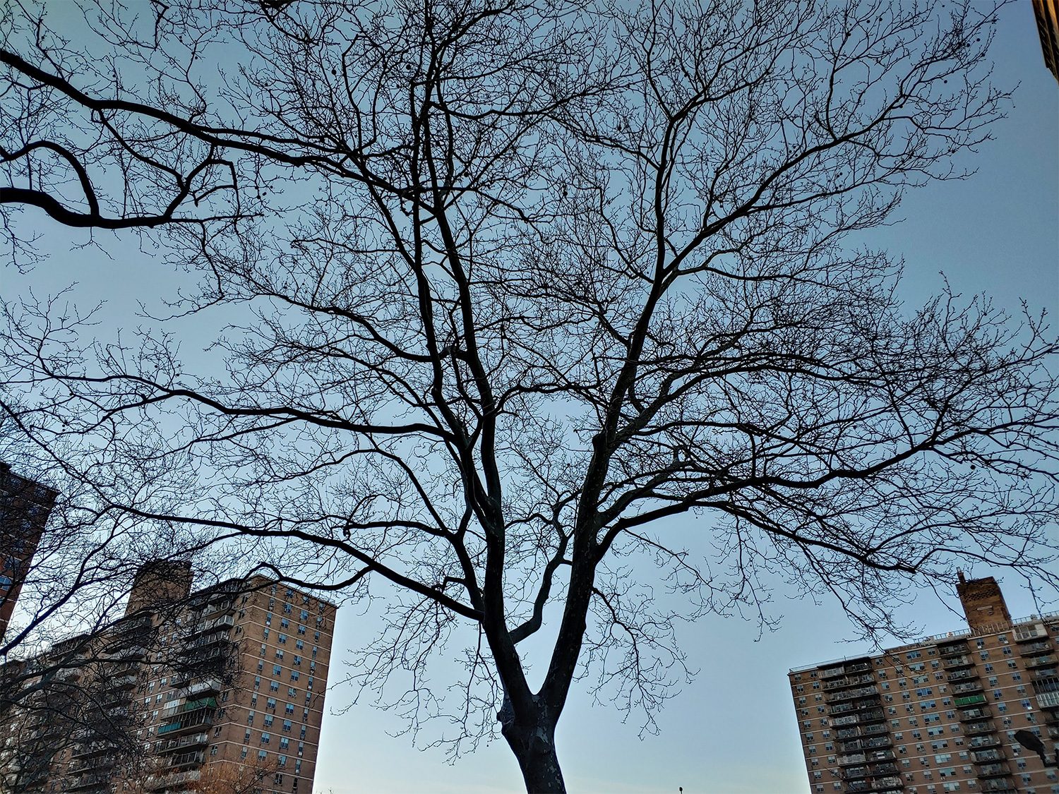 lg g8 thinq review camera 6